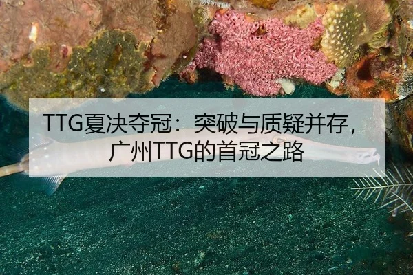 TTG夏决夺冠：突破与质疑并存，广州TTG的首冠之路
